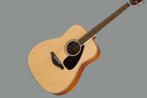 Westernguitar